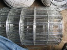 圈玉米铁丝网 镀锌圈玉米网 圈玉米电焊网